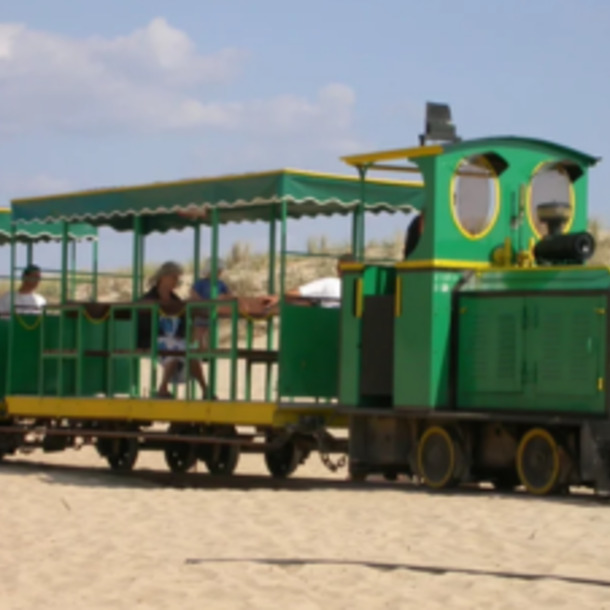 Le Petit Train du Cap Ferret, un voyage entre pinède et océan